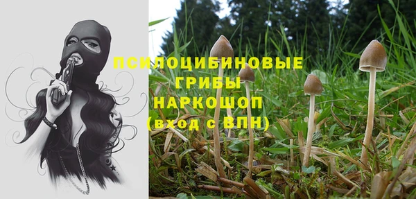 а пвп мука Баксан
