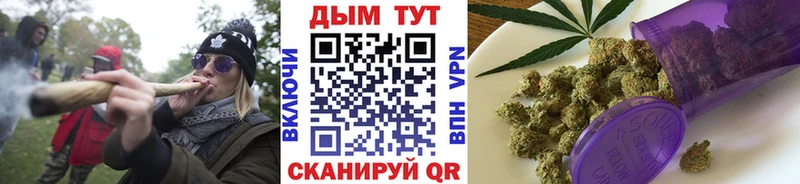 где купить наркоту  Верхний Уфалей  omg зеркало  Бошки марихуана THC 21% 